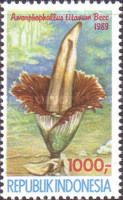 Titan Arum (Amorphophallus titanum)