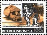 Skull of “Sangiran 17” and hunters