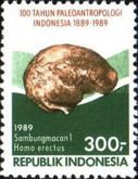Skull of “Sambungmacan 1”