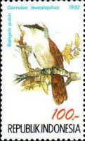 White-crested Laughingtrush (Garrulax leucolophus)