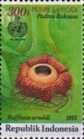 Rafflesia arnoldi