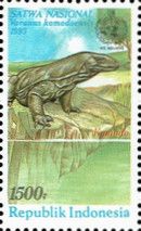 Komodo Dragon (Varanus komodoensis)