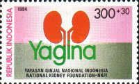 National Kidney Foundation