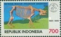 Skeleton of a Javan Rhinoceros (Rhinoceros sondaicus) 
