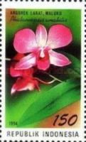 Phaelaenopsis amabilis