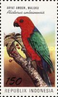 Moluccan King Parrot (Alisterus amboinensis)