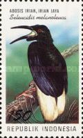 Twelve-wired Bird-of-paradise (Seleucidis melanoleuca)