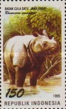 Javan Rhinoceros (Rhinoceros sondaicus)