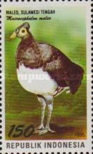 Maleo (Macrocephalon maleo)