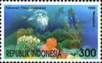Eastern Region. Underwater Life. Corals