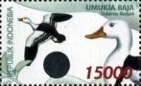 Radjah Shelduck (Tadorna radjah)
