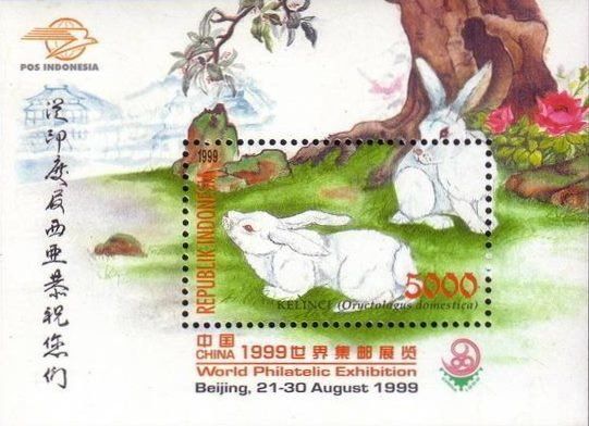 Domestic Rabbit (Oryctolagus cuniculus domesticus)