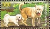 Domestic Dog (Canis lupus familiaris)