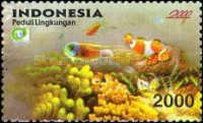Fish over Coral Reef