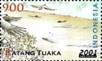 Folk Tales- Batang Tuaka