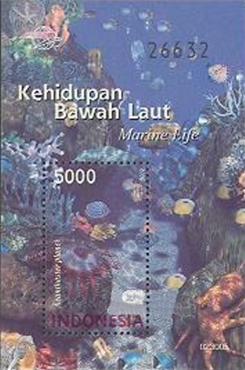 Crown-of-thorns Starfish (Acanthaster planci)
