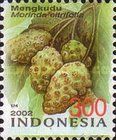 Mengkudu (Morinda citrifolia)