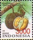 Durian (Durio zibethinus)