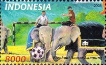Elephants Playing Soccer
