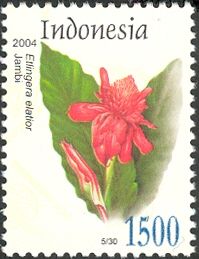 Etlingera elatior