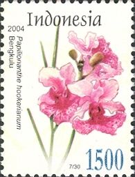 Papilionanthe hookerianum