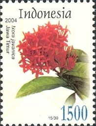 Ixora javanica