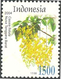 Cassia fistula