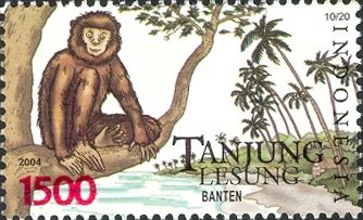 Indonesian Folktales - Tanjung Lesung