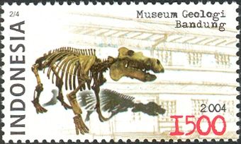 Museum of Geology, Bandung