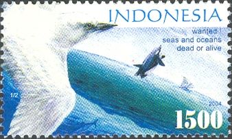 White Tern (Gygis alba), Killer Whale (Orcinus orca)