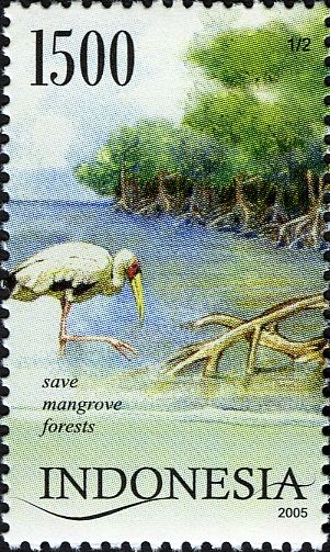 Milky Stork (Mycteria cinerea)