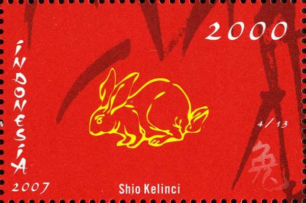 Shio Kelinci