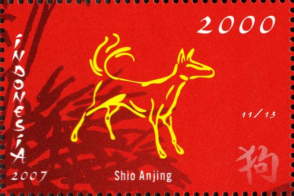 Shio Anjing
