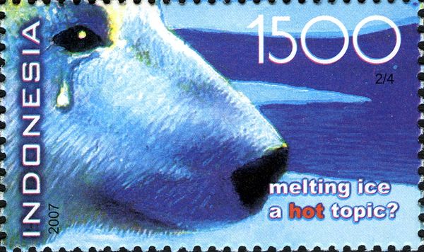 Polar Bear (Ursus maritimus) with Tears