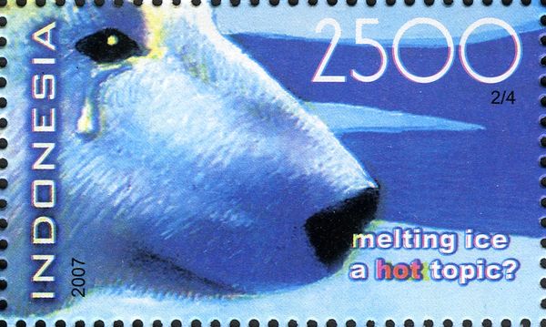 Polar Bear (Ursus maritimus) with Tears