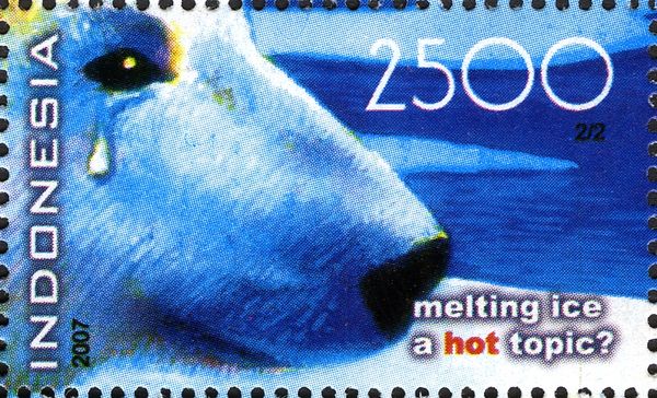 Polar Bear (Ursus maritimus) with Tears