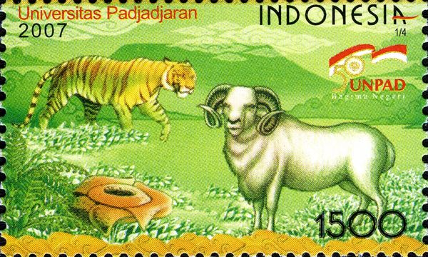 Tiger (Panthera tigris), Sheep (Ovis ammon aries), Rafflesia