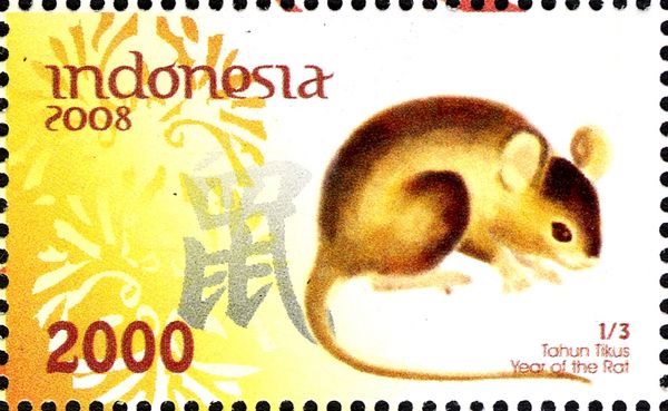 Holy Days & Celebrations (Chinese New Year)