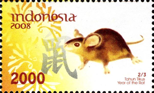 Holy Days & Celebrations (Chinese New Year)
