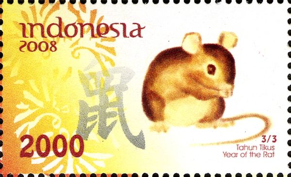 Holy Days & Celebrations (Chinese New Year)