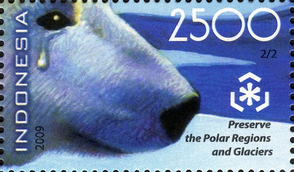 Polar Bear (Ursus maritimus) with Tears