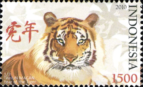Tiger (Panthera tigris)