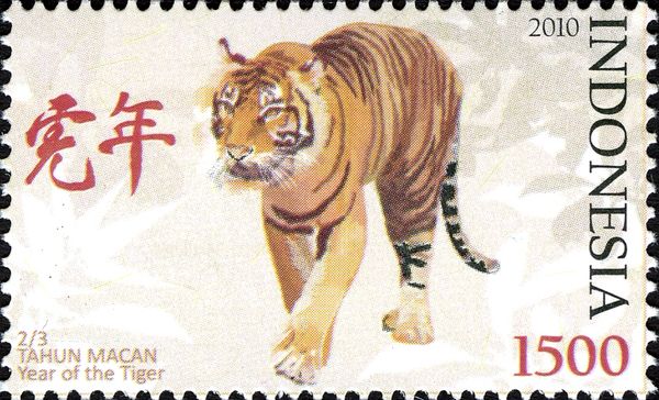 Tiger (Panthera tigris)