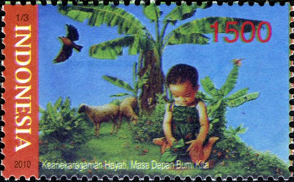 Environment & Conservation