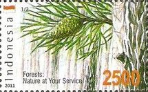 Forests: Nature at your service