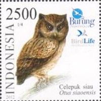 Siau Scops Owl (Otus siaoensis)
