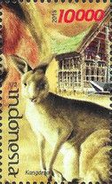 Kangaroo