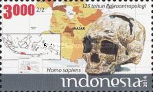 125 years Paleoanthropology in Indonesia: Homo sapiens