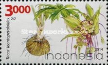 Arrowroot (Tacca leontopetaloides)