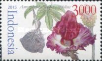 Elephant-foot Yam (Amorphophallus paeoniifolius)